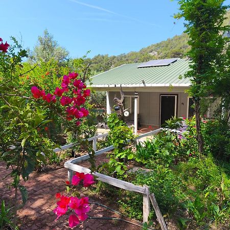 Gelidonia Fenerium Holiday Home 安塔利亚 外观 照片