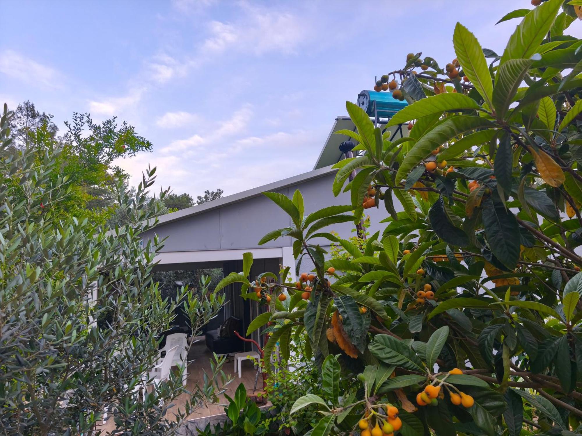 Gelidonia Fenerium Holiday Home 安塔利亚 外观 照片